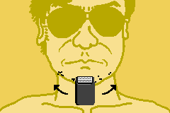 Mawaru - Made in Wario (Japan)